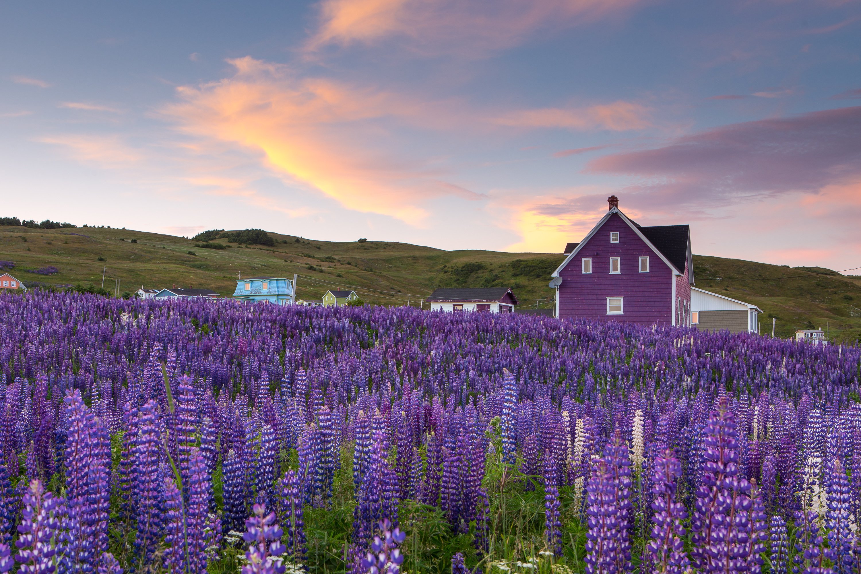 Maison colorée typique des Îles de la Madeleine