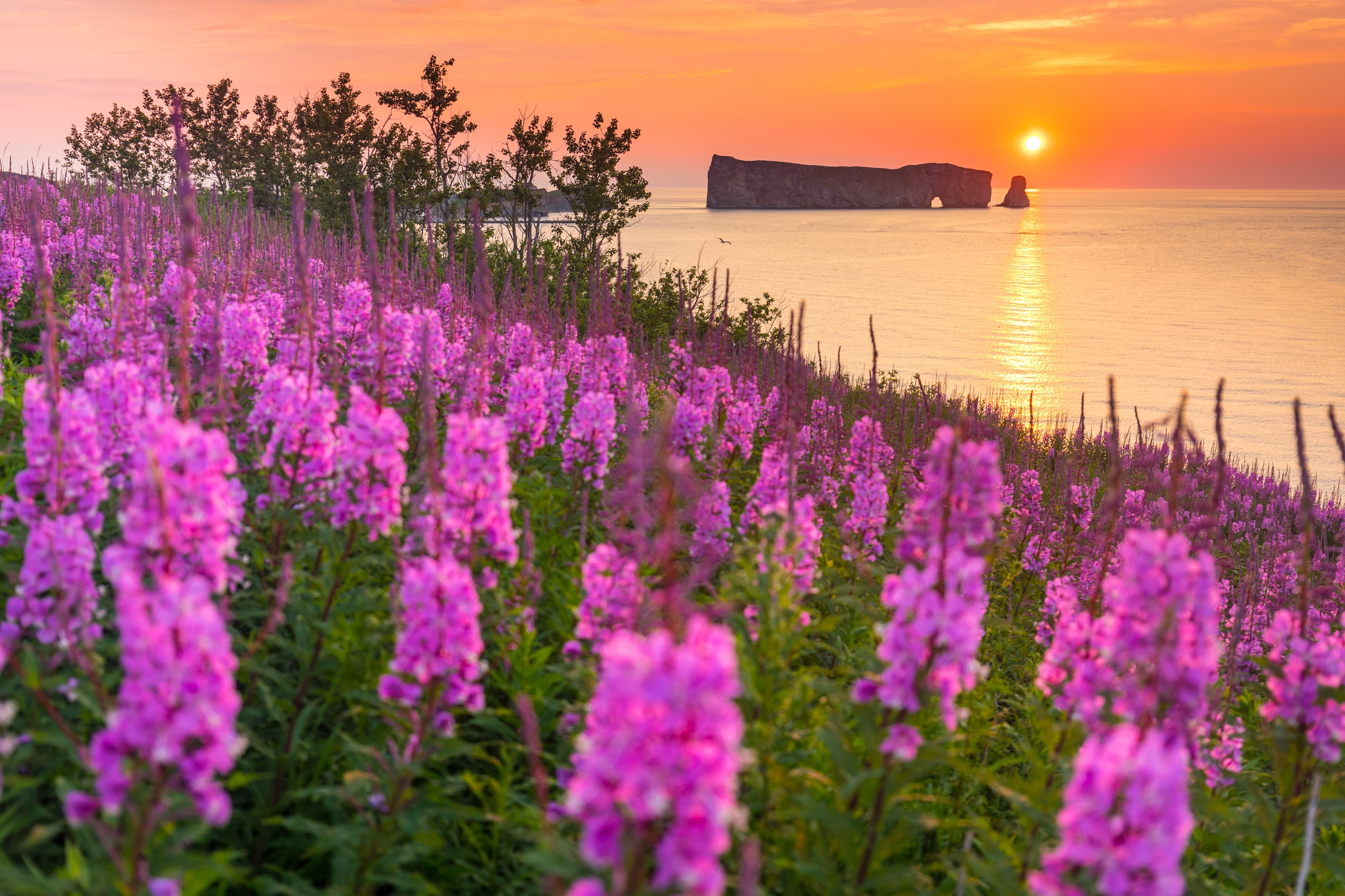 La Gaspésie : pour passer du rêve à la réalité