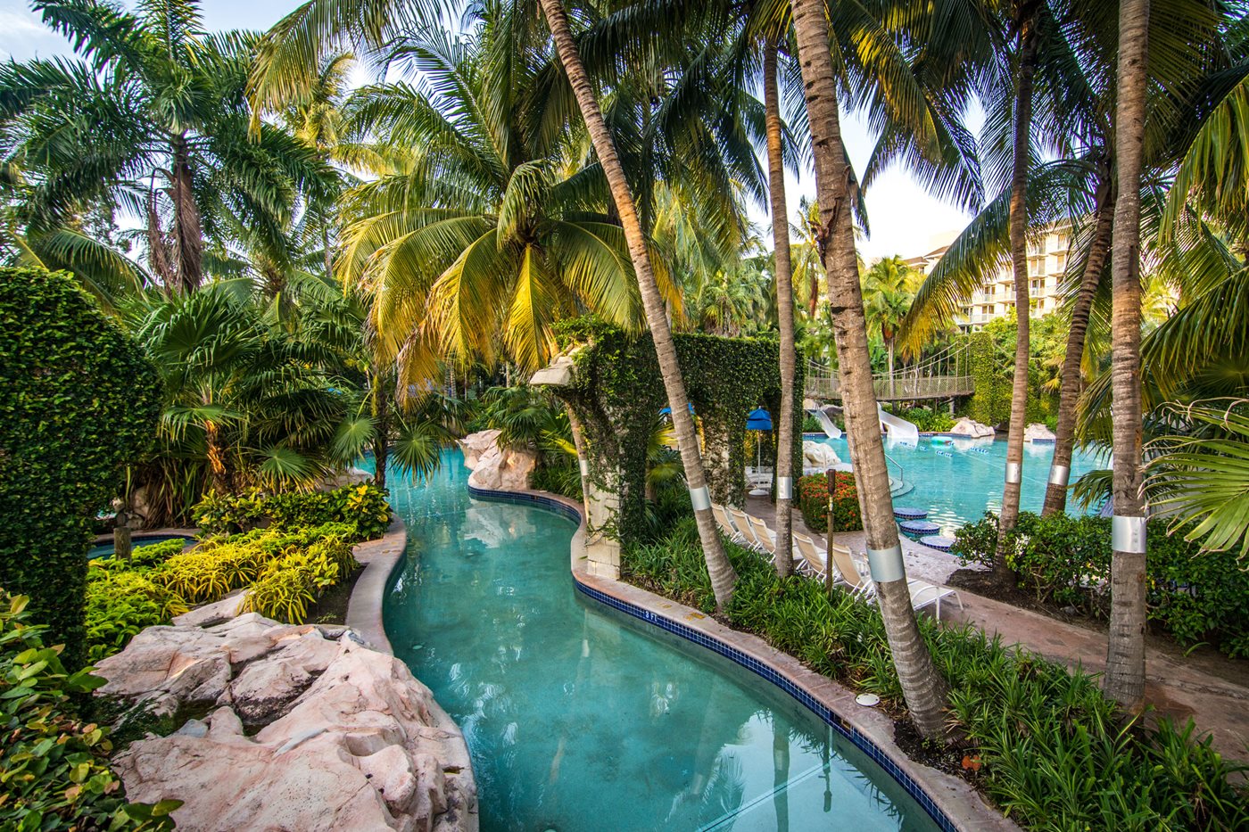 Parmi les piscines du Hilton Rose Hall, la piscine luxuriante va vous épater