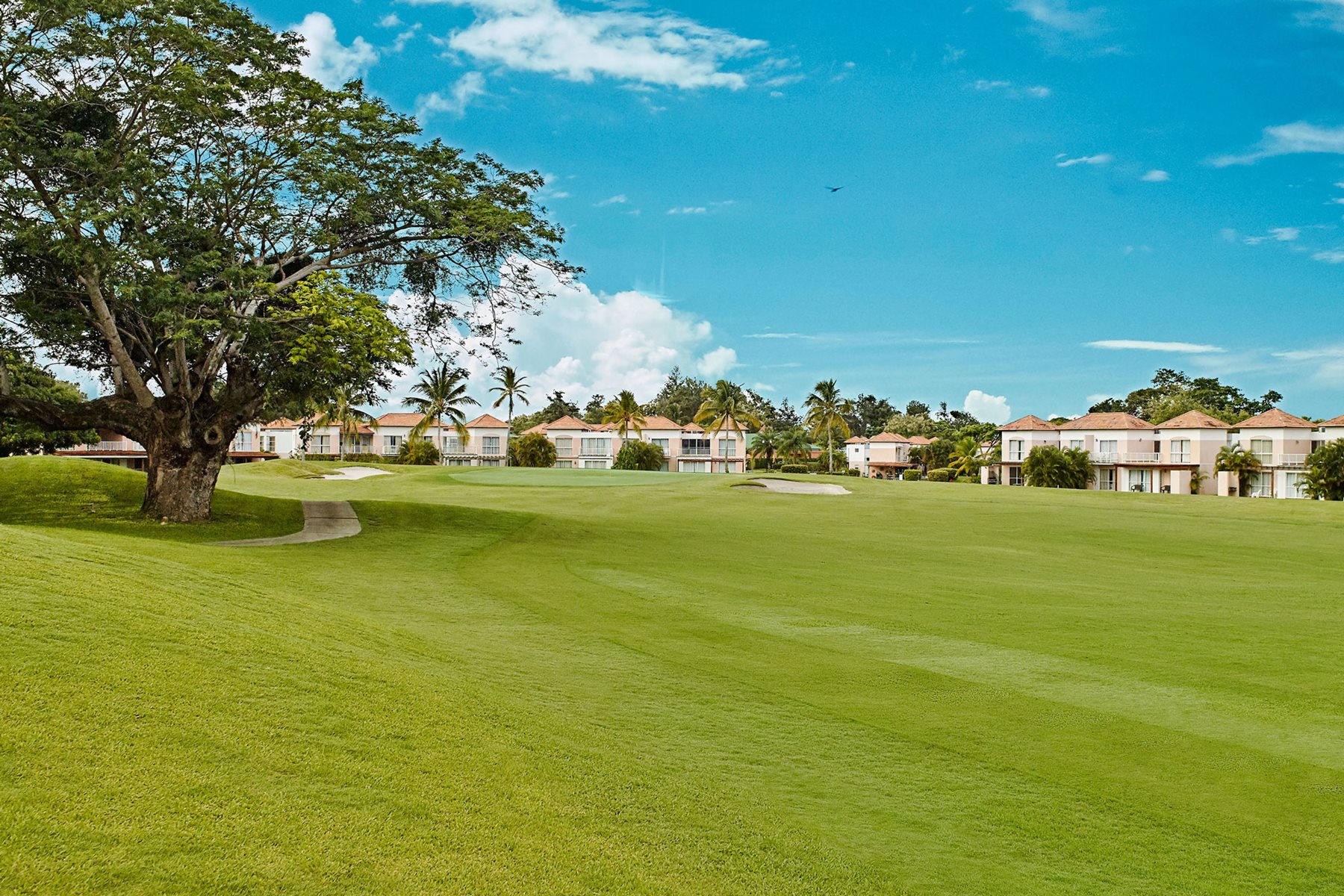RIH-Royal-Decameron-Panama-Golf-003