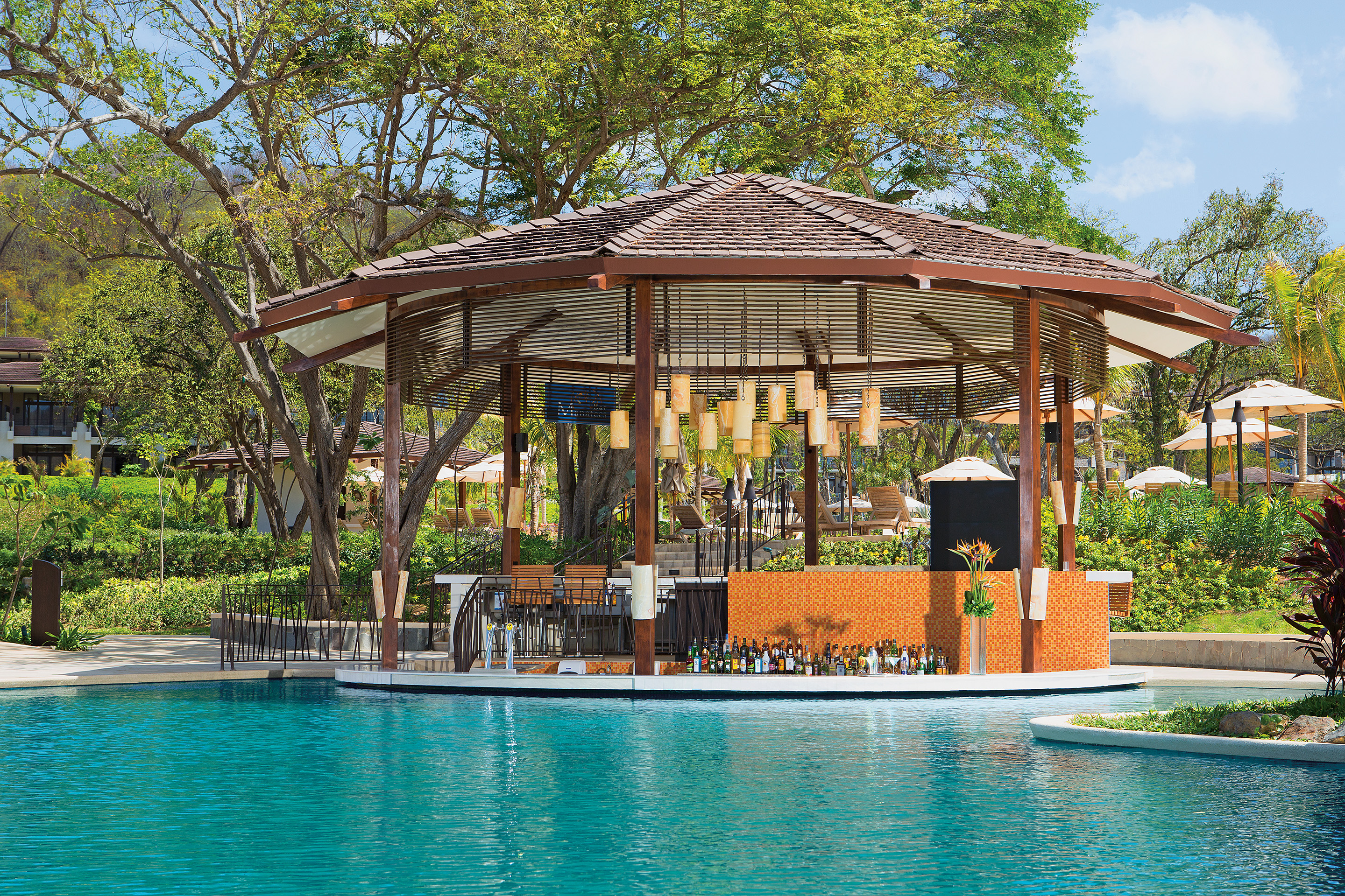 DRELM_BAR_Manatees_Pool_1