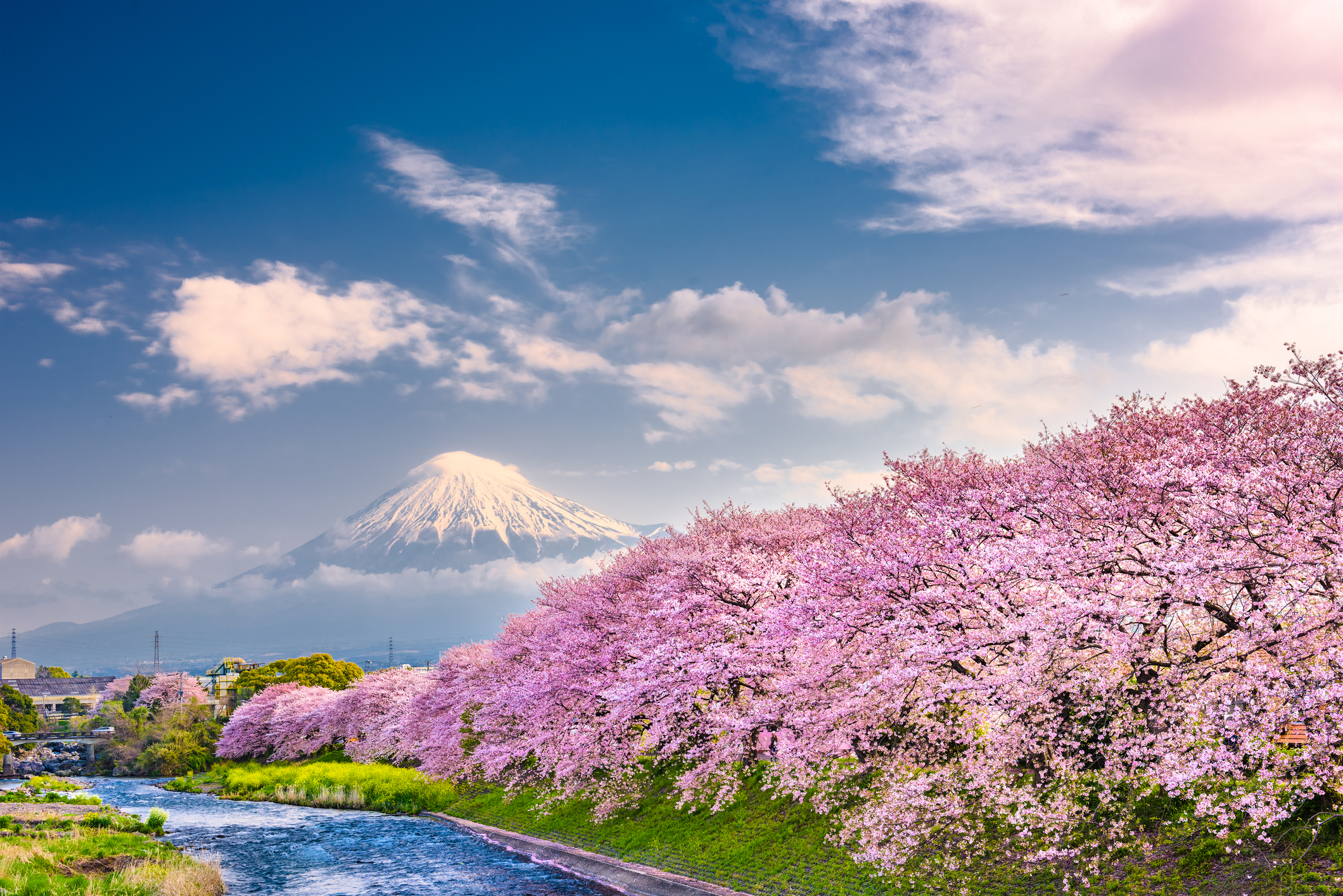 Le Japon en vidéo