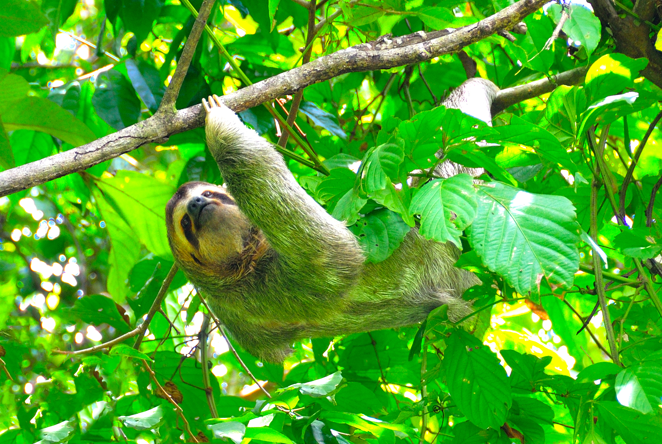 Costa Rica Nature