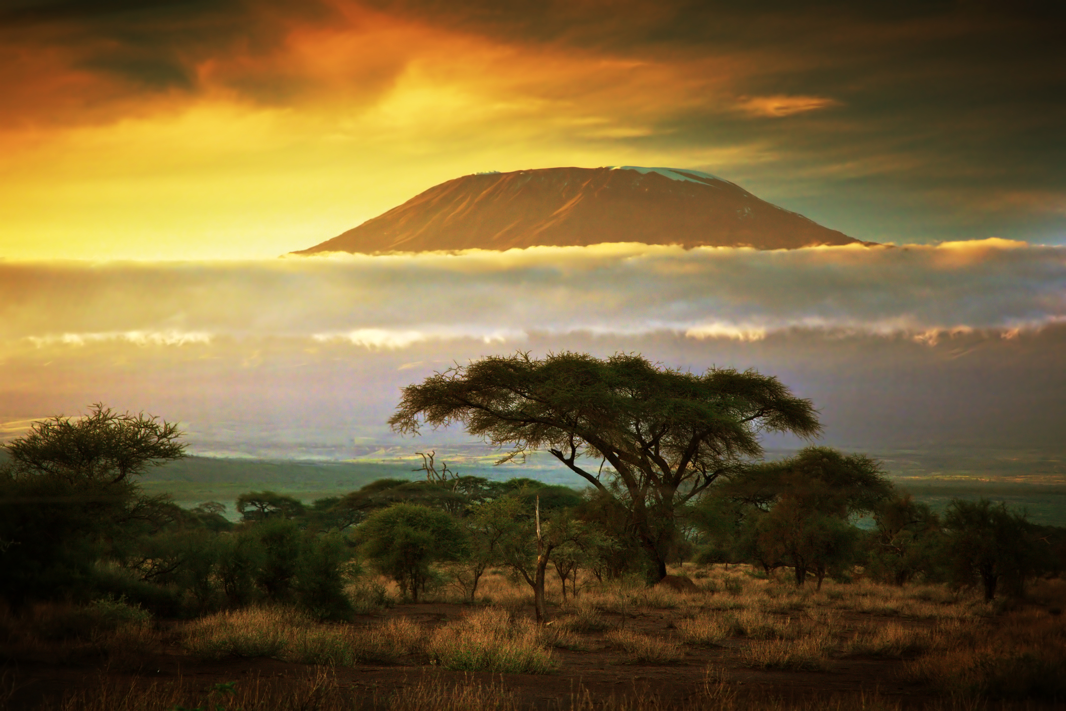 Kenya en vidéo