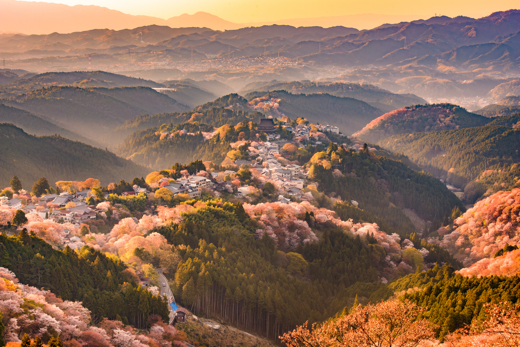 Le Japon en vidéo
