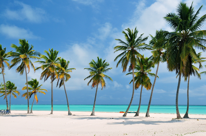 Vidéo Punta Cana