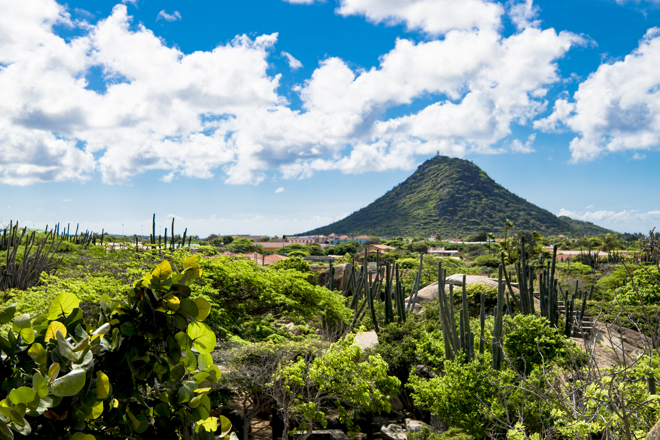 Aruba en vidéo