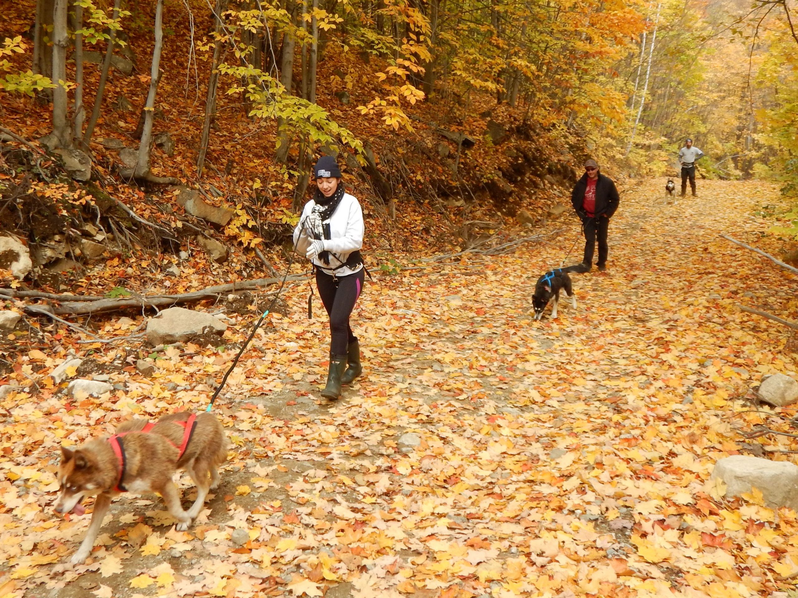 ©AventuresPleinAirStHippolyte_DSCN0988-2