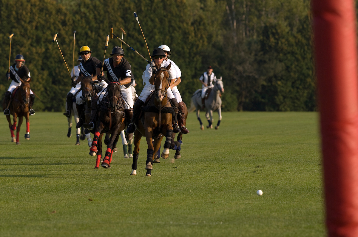 Polo-Saratoga , Capital-Saratoga Region