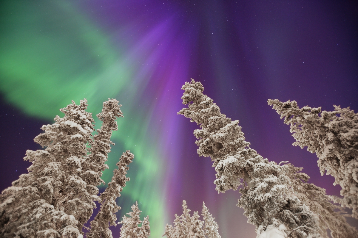 Aurora