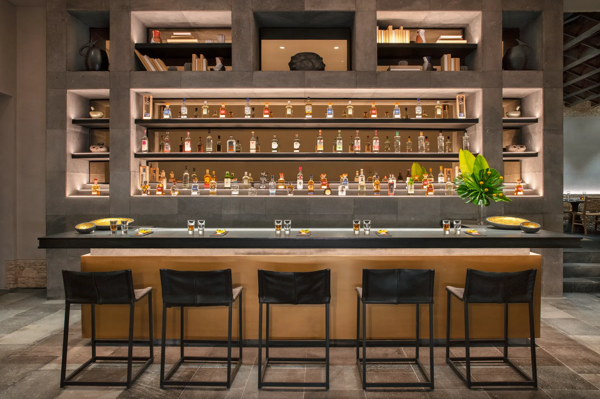 SEPDC-RES-MexicanBar-RNDR-DISCLAIMER