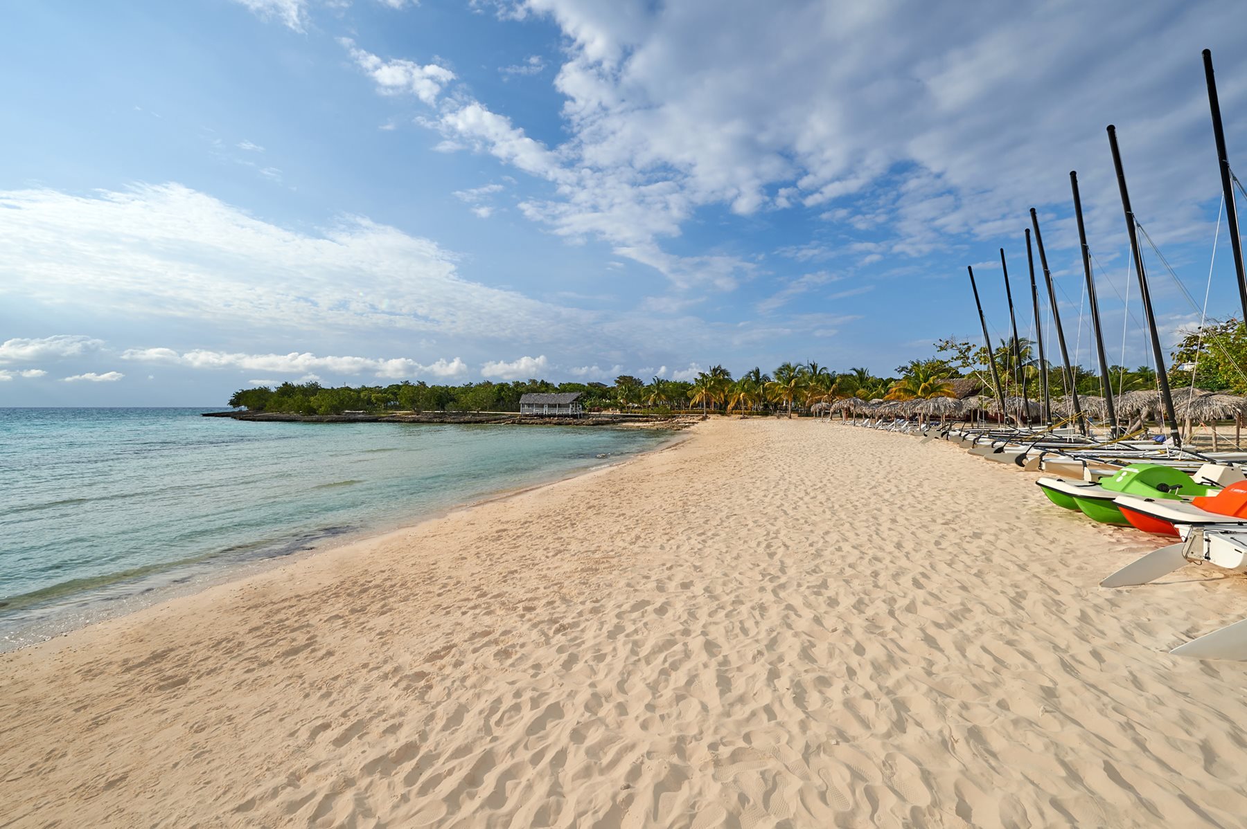 hog-aston-cv-beach-01