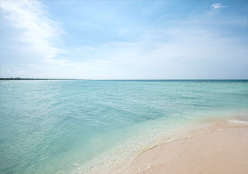 06-s (1)
