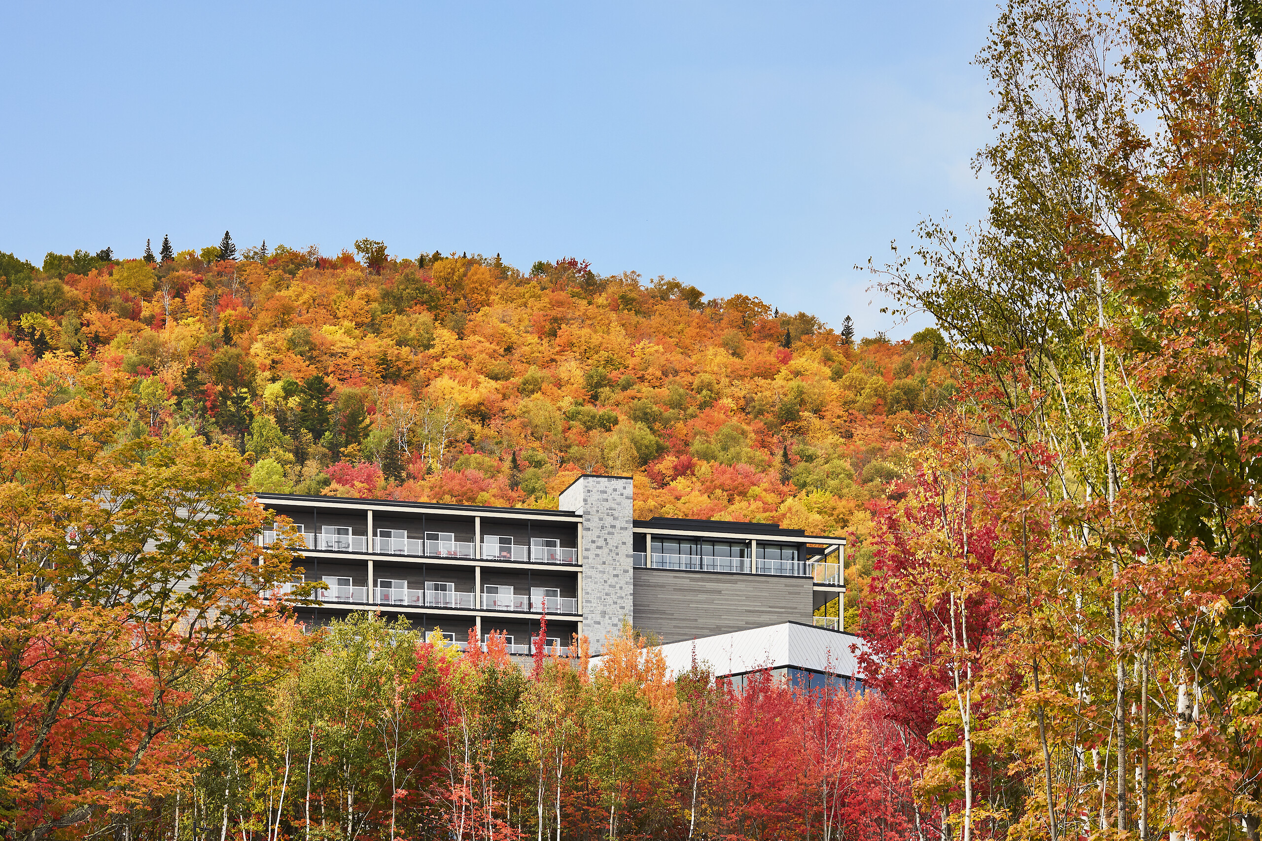 QCHC_K221_012-swhr