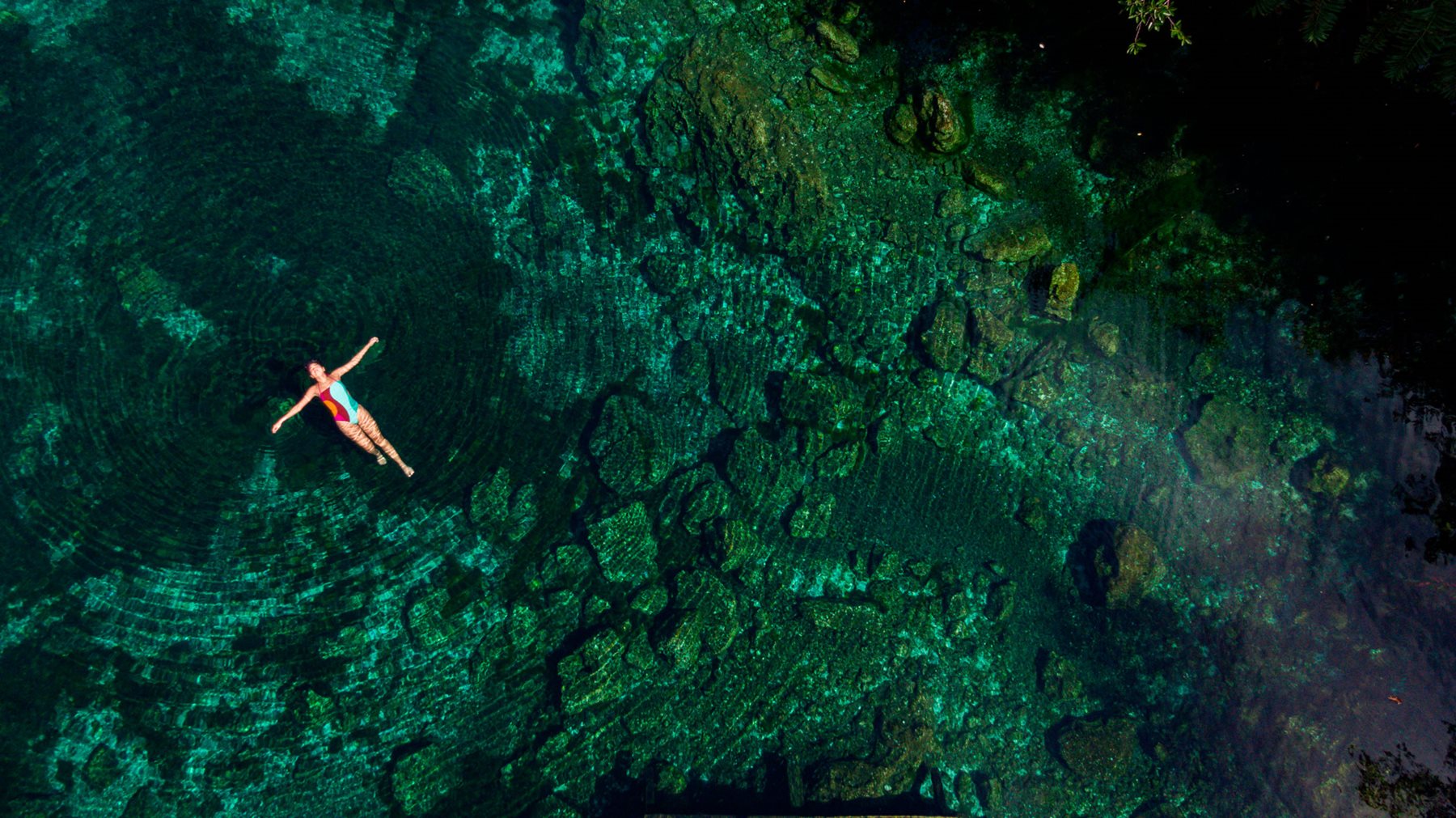 CUN-Paradisus-Cancun-Cenote-03.jpg