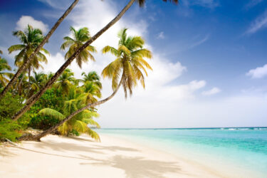 Vacances dans le Sud à moins de 2000$