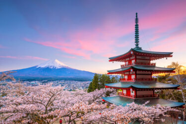 Le Japon au temps des cerisiers – accompagné en français de Montréal